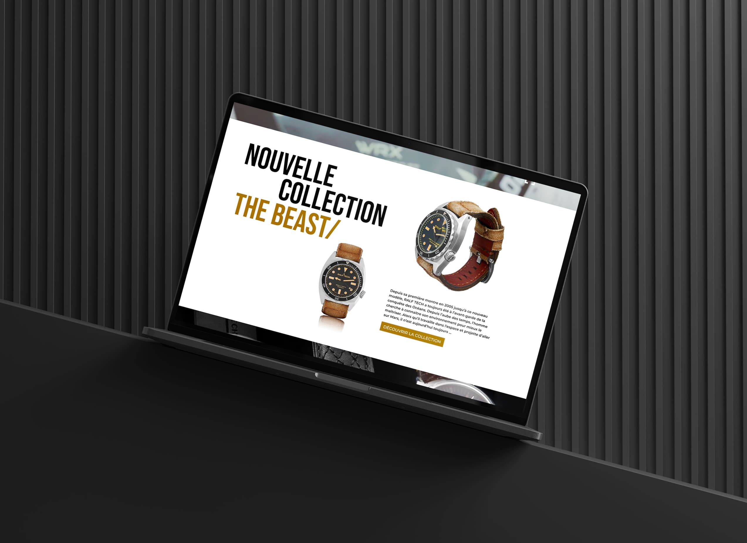 [object Object] - /ralf-tech/3.jpg